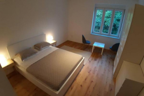 Apartment Lenka